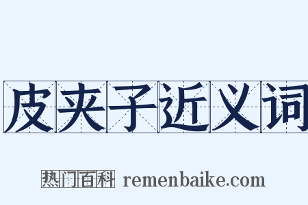 皮夹子近义词是什么意思的图片